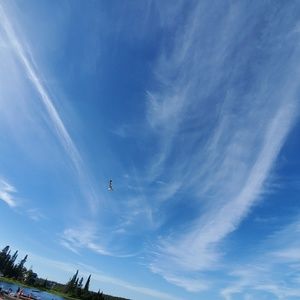 Meet your Posher, Nataliia